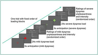 Brain Activation during Perception and Anticipation of Dyspnea in Chronic Obstructive Pulmonary Disease